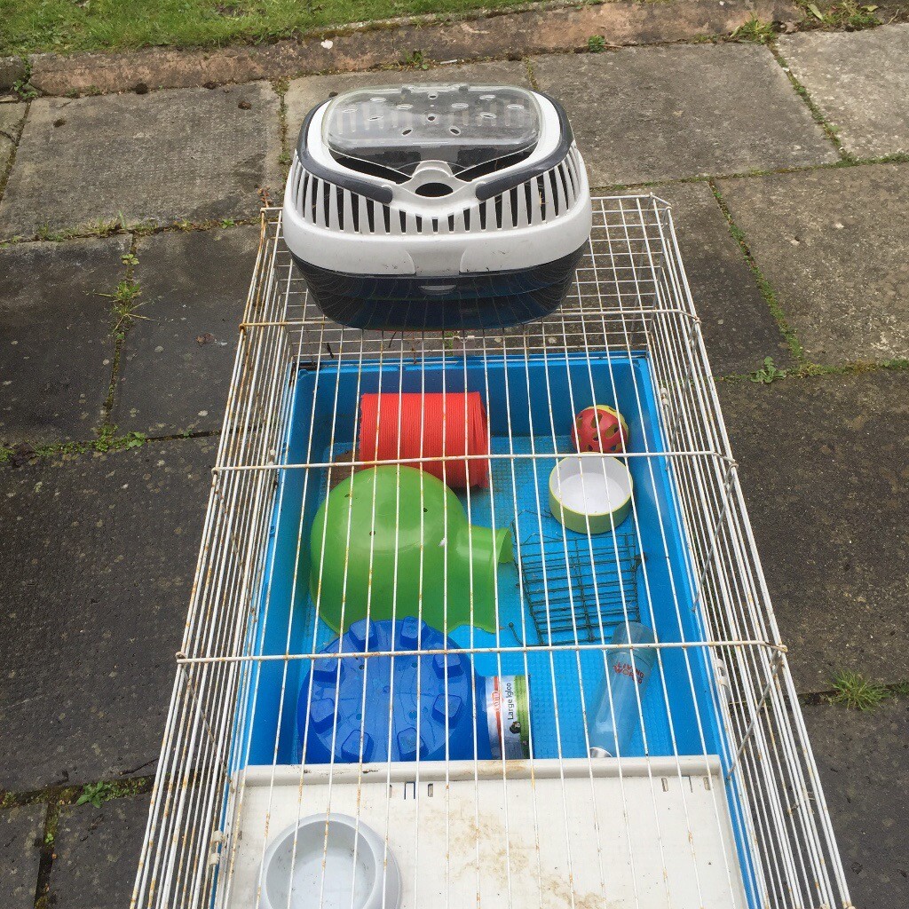 Guinea pig cage and lots of accessories in Poole, Dorset Gumtree