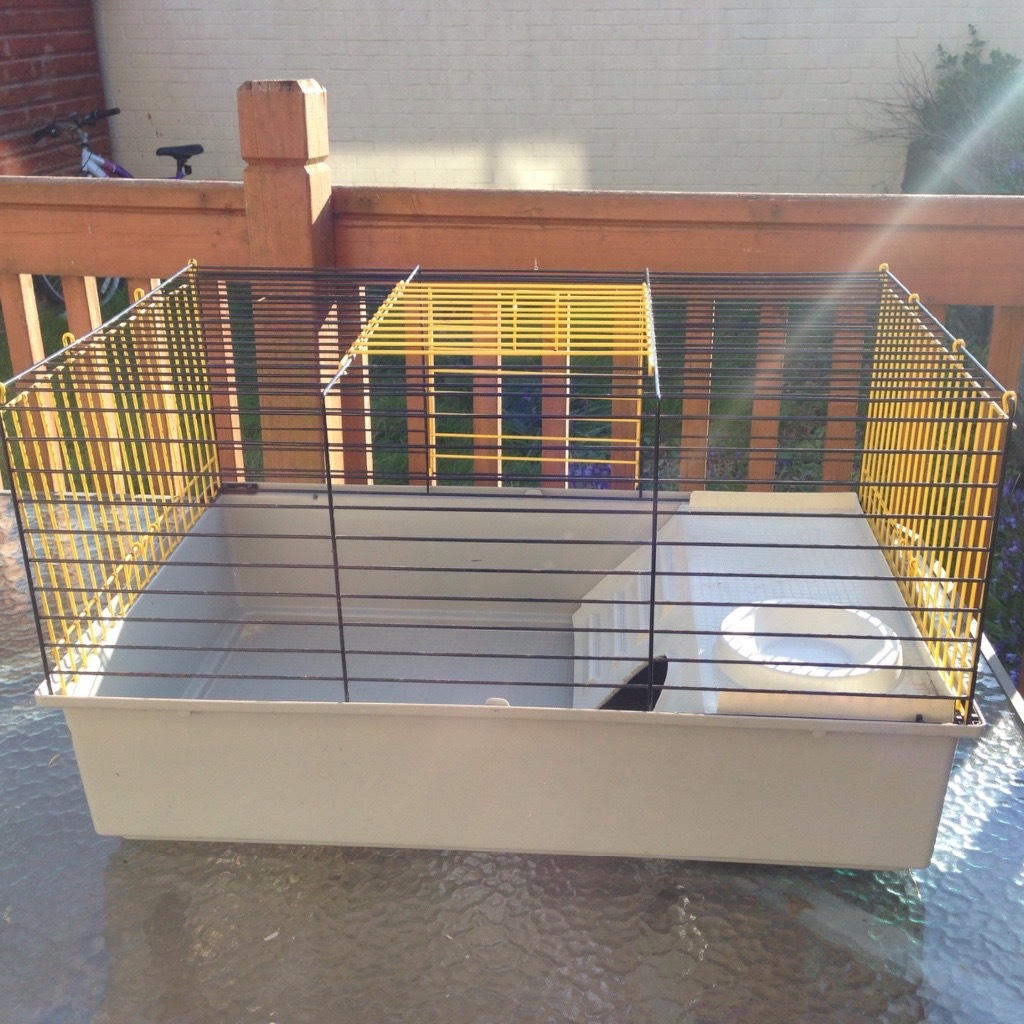 Guinea pig/hamster bundle | in Fairwater, Cardiff | Gumtree