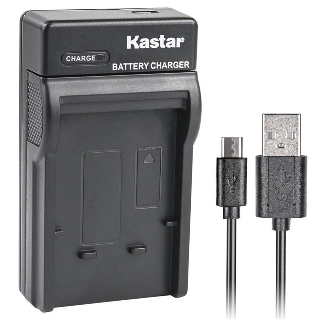 NP-95 Slim USB Charger for Fujifilm FinePix F30, F31FD, REAL