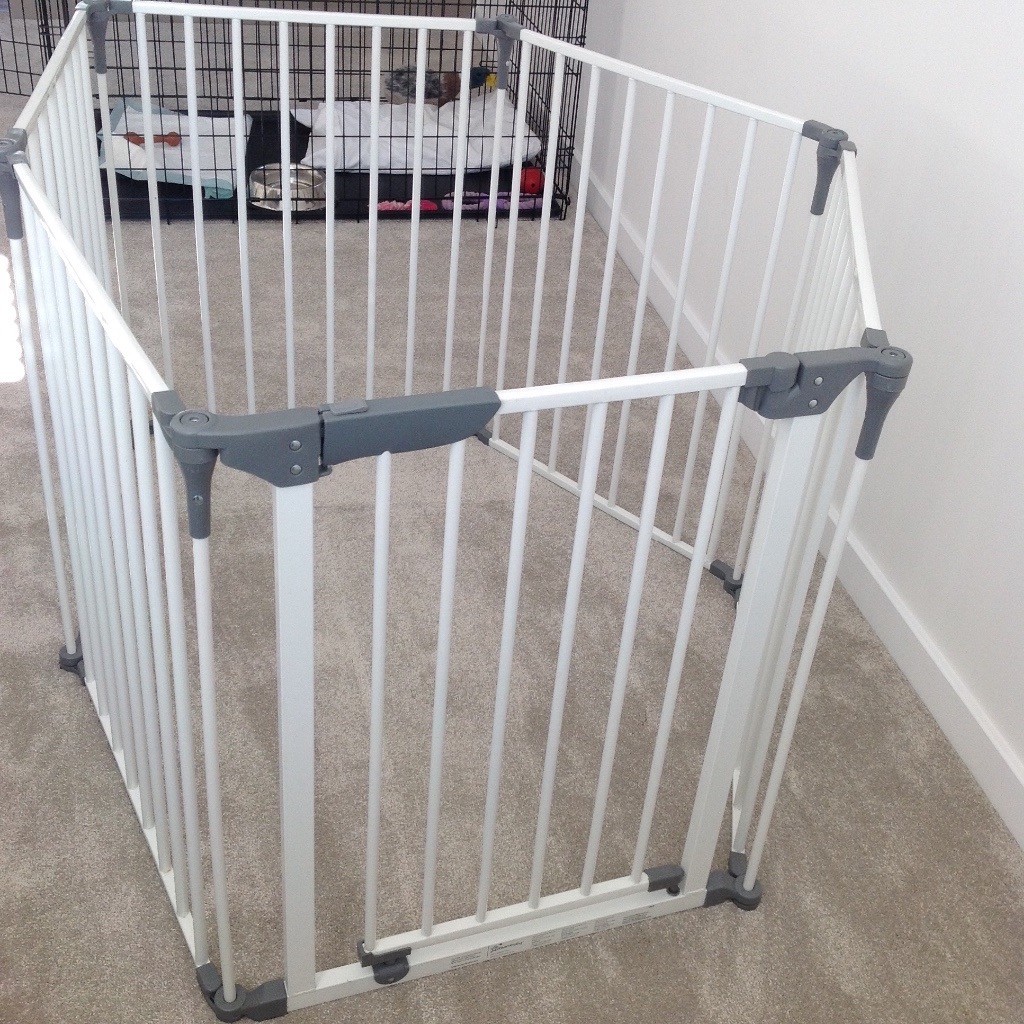 dreambaby playpen argos