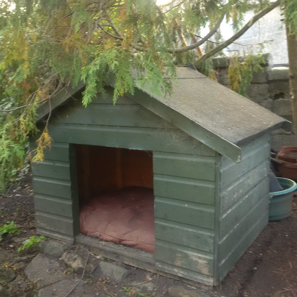 Large Dog Kennel in Dunfermline, Fife Gumtree
