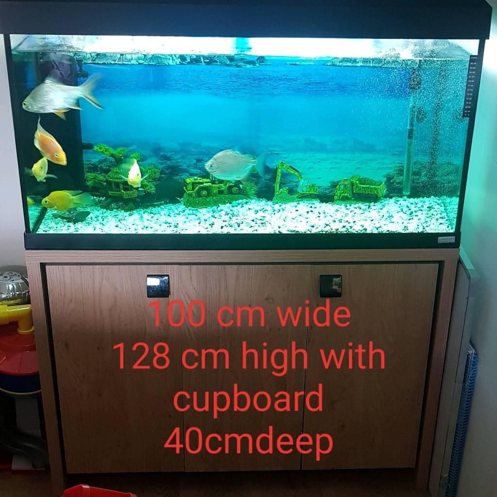 3ft fish tank in Coventry, West Midlands Gumtree