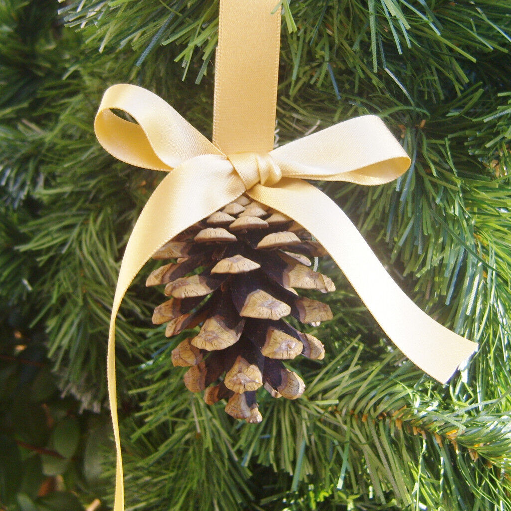 6 Pine cone Christmas  tree decorations  ornaments in 