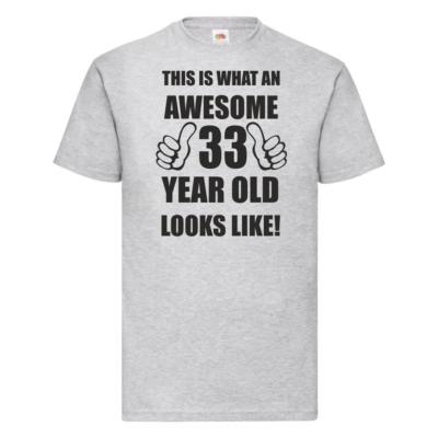 33rd 33 Years Old Thirty Third Birthday Presents Mens Funny Awesome T-Shirt