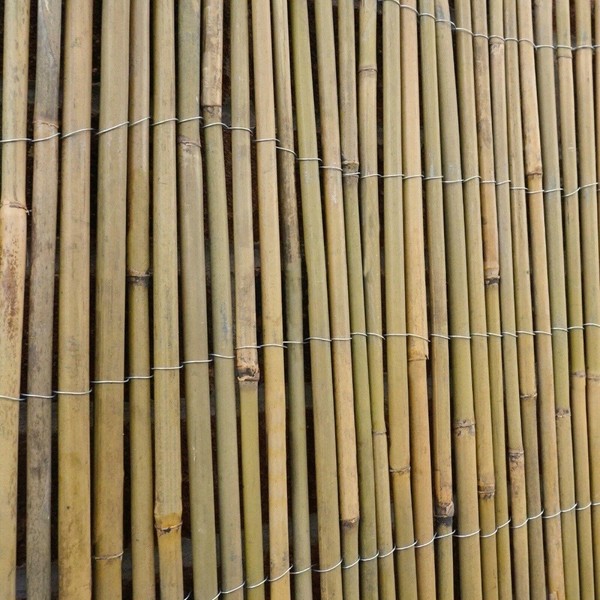 Garden Bamboo Screening for sale in UK View 66 bargains