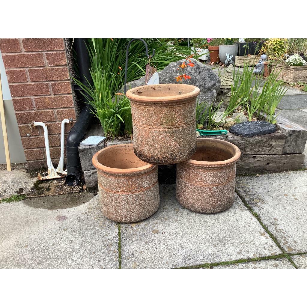 Plant pots in Appleton, Cheshire Gumtree