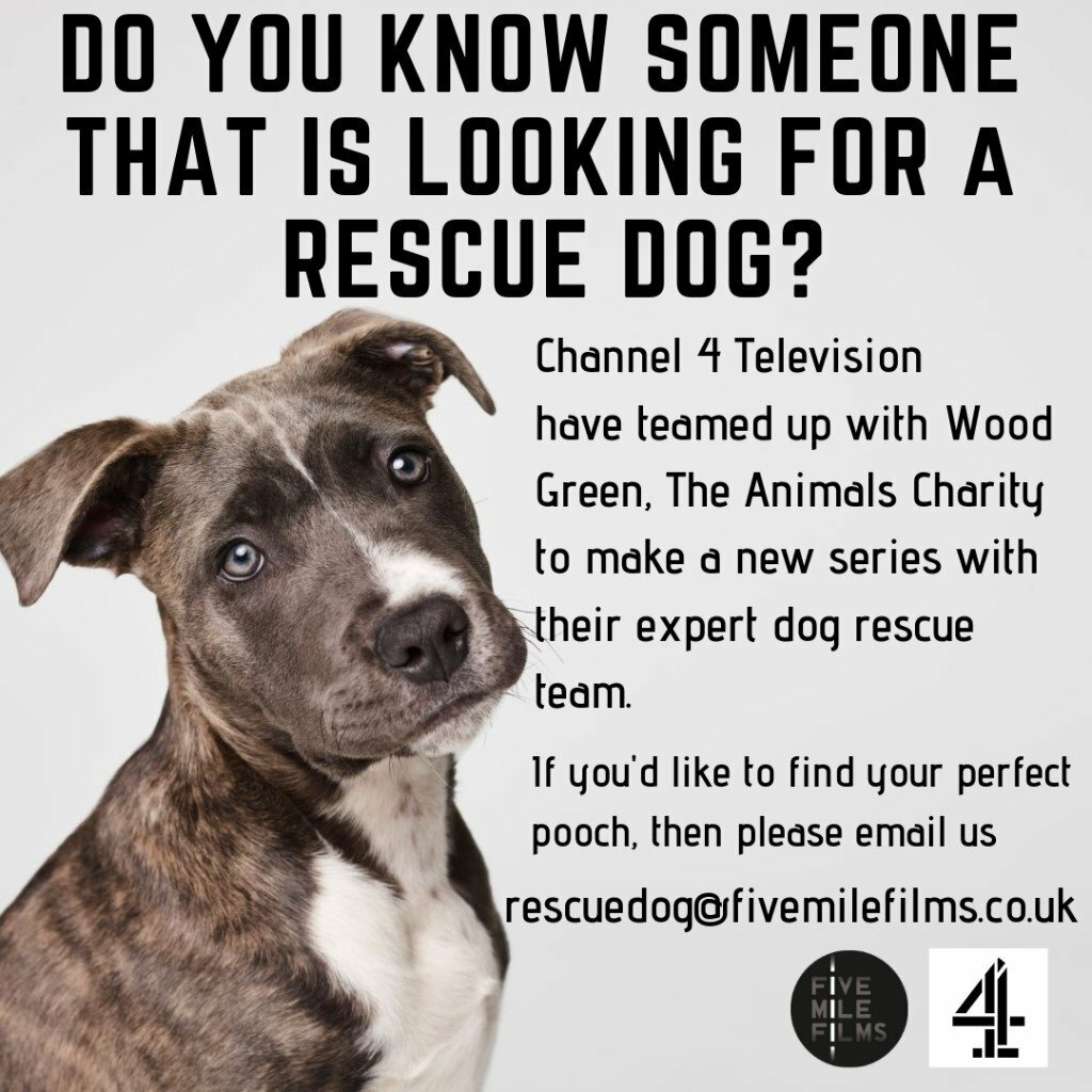 embark genetic testing