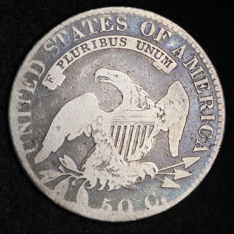 1820/19 Capped Bust Half Dollar CHOICE VG FREE SHIPPING E257 KLM