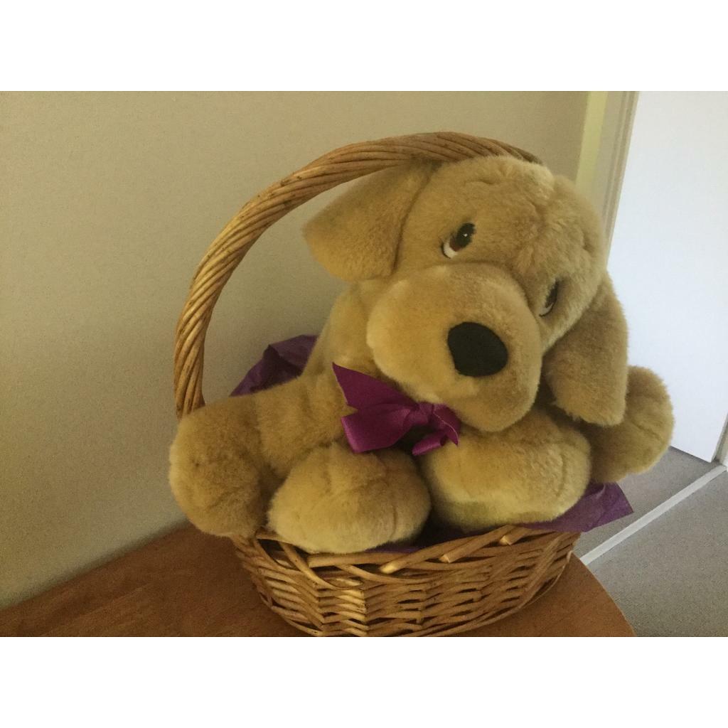 Small soft toy dog in small wicker basket in Verwood, Dorset Gumtree
