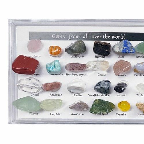 24X Rock Quartz Mineral Collection Display Case Science Teaching Geography Stone