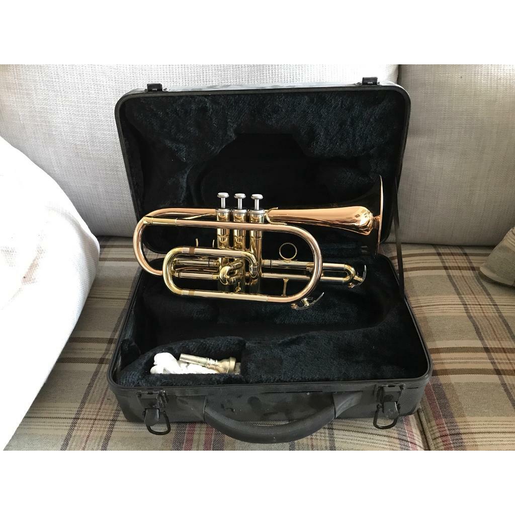 in Verwood, Dorset Gumtree