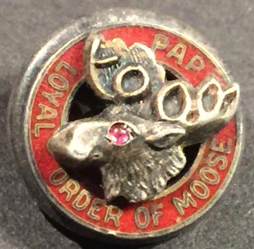 Moose LOOM Loyal Order of the Moose Pin Gold Tone | eBay