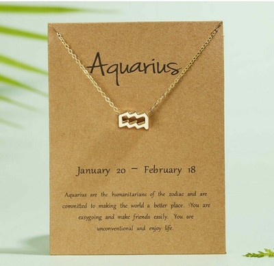 2X Zodiac Sign Pendant Charms 12 Constellation Necklace Choker Jewelry Two Color