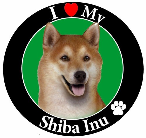 その他 Cyber Pet Shiba System 001 Cyber Pet Shiba System 001 Sasa Figure