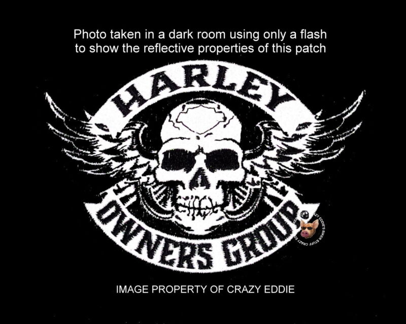 5/' x 3.5/"Small Winged Skull Patch ~ Harley Davidson Owners Group HOG H.O.G.