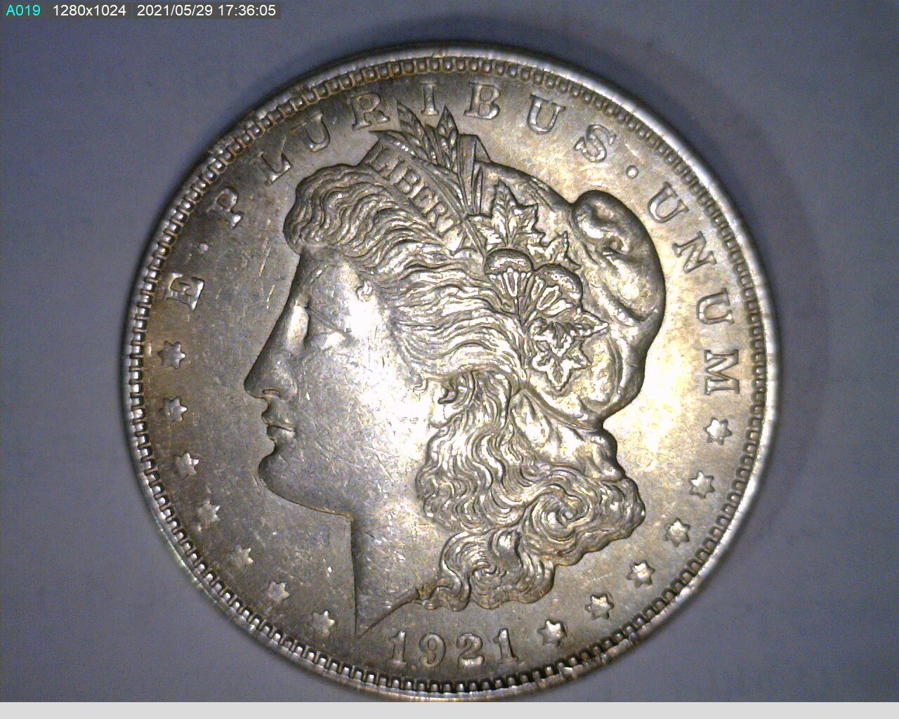 1921 アメリカ モルガンダラー銀貨 Morgan Dollar 銀貨 346 1921 Morgan Dollar ( 10-346 8m1 ) | eBay