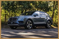 BENTLEY BENTAYGA 4.0 V8 Auto 4WD Euro 6 (s/s) 5dr 2019