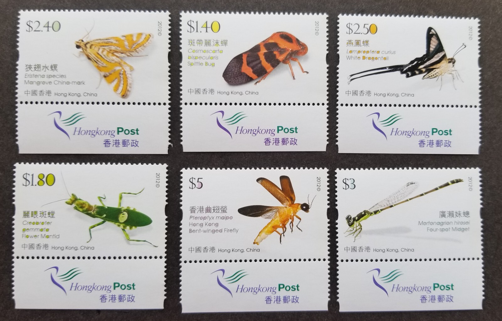 洋書 Insect Histology Insect Histology: Practical Laboratory Techniques | Wiley