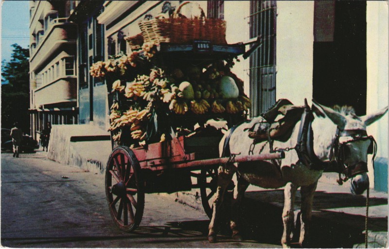 Pc Venezuela, Caracas, Venededor De Frutas, Modern Postcard (B43663)