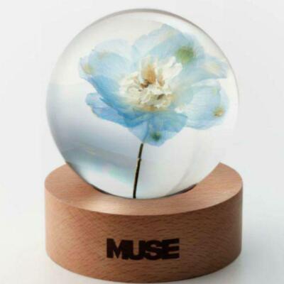K-POP・アジア MUSE PAPER WEIGHT FACE CD K-POP・アジア MUSE PAPER WEIGHT FACE CD Jimin Muse Paper Weight