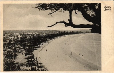 PC AUSTRALIA MANLY BEACH (a78468)
