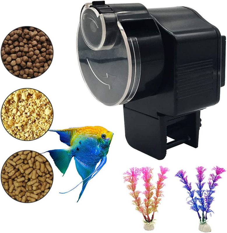 Automatic Fish Feeder Small Tank | Fishtanks