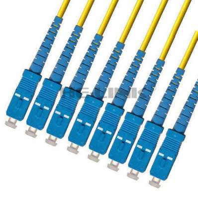 170M SC-SC Indoor Armored Singlemode 8 Strands Fiber Patch Cord Cable