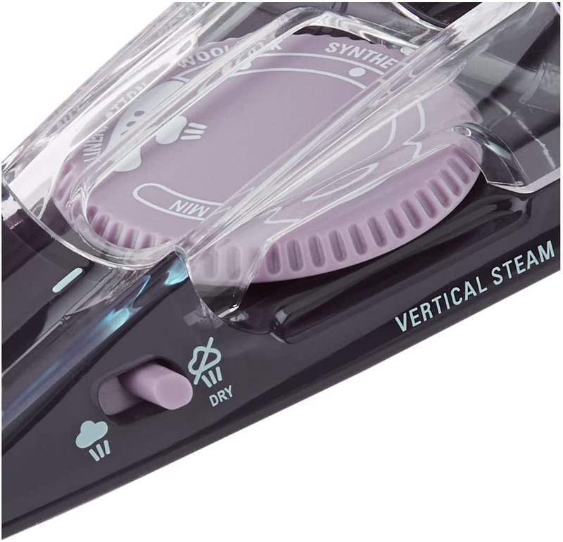 Rowenta DA1560 Travel-Ready 1000-Watt Compact Steam Iron Stainless Steel Sole...