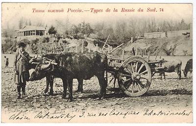 Man with Oxes, South Russian Types #74, Russia, sent in 1901 to France