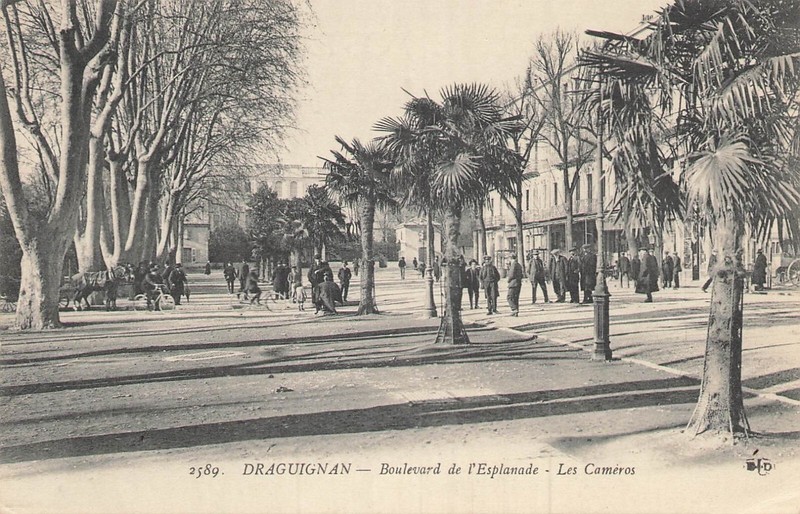 83 Draguignan 107650