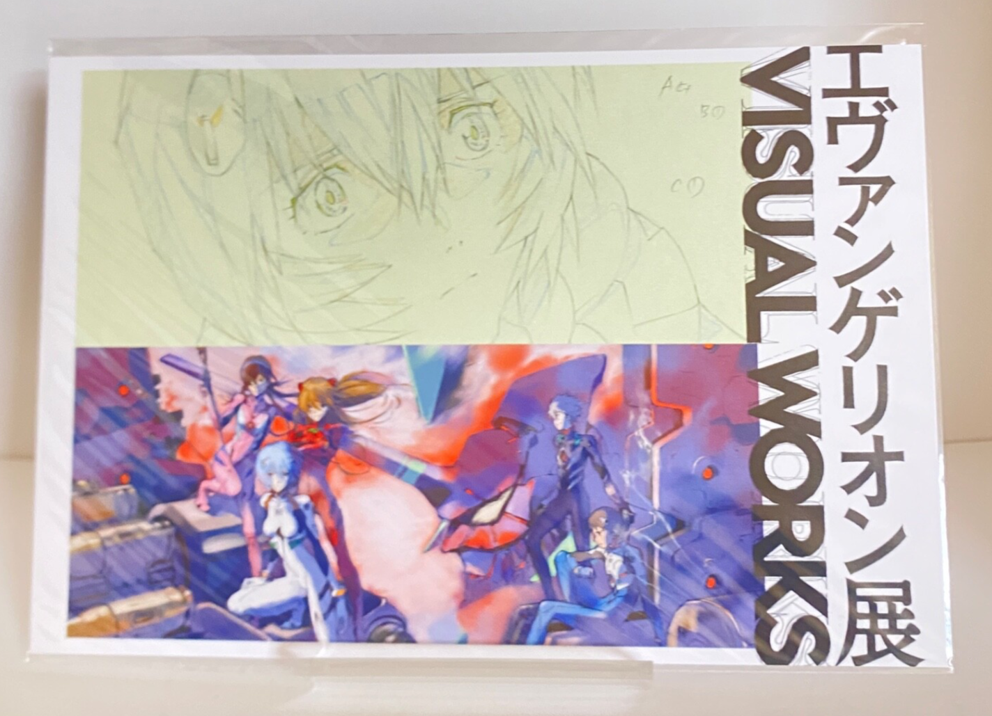 ヱヴァンゲリヲン post card collection NEON GENESIS EVANGELION Post Cards | These are Japanese post