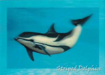 POSTCARD: 3D TYPE   ''STRIPED DOLPHIN''   BY AUTHENTIC CARDS 