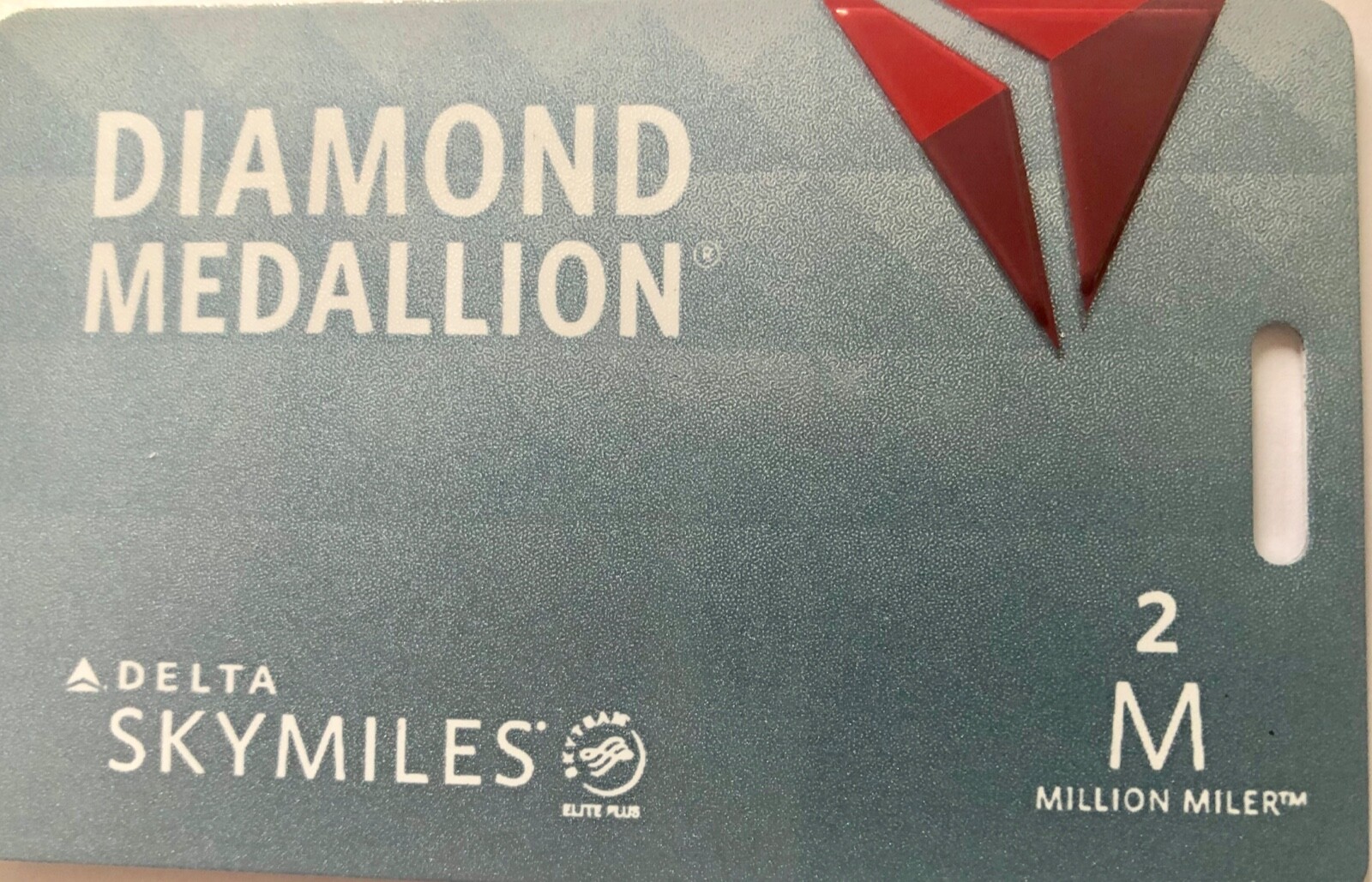 2X Brand New Delta Metal Diamond Medallion 2M Luggage Tags w/ Metal Cable strap