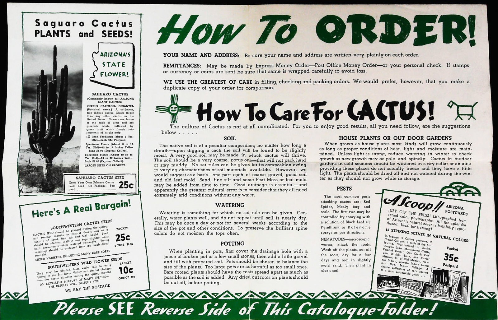 Johnson's Cactus Gardens Hynes California Growing Cactus For Your Home - Catalog