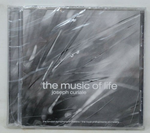 【未開封】 AcuticNotes CD SURRENDER OF DIVINITY – Oriental Hell Rhythmics DIGIPACK CD