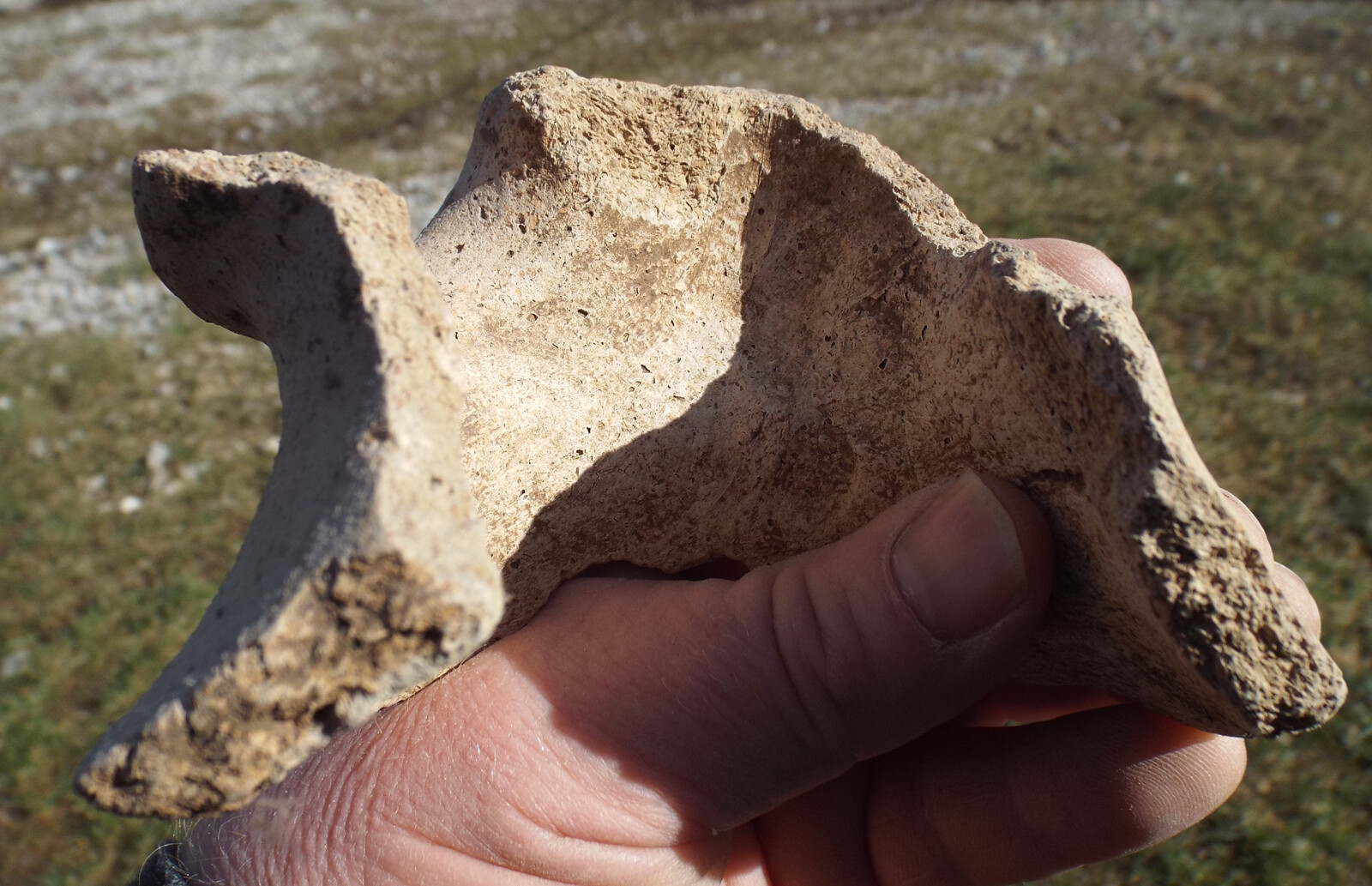 hooded vessel fragment from Kentucky, artifacts, arrowheads