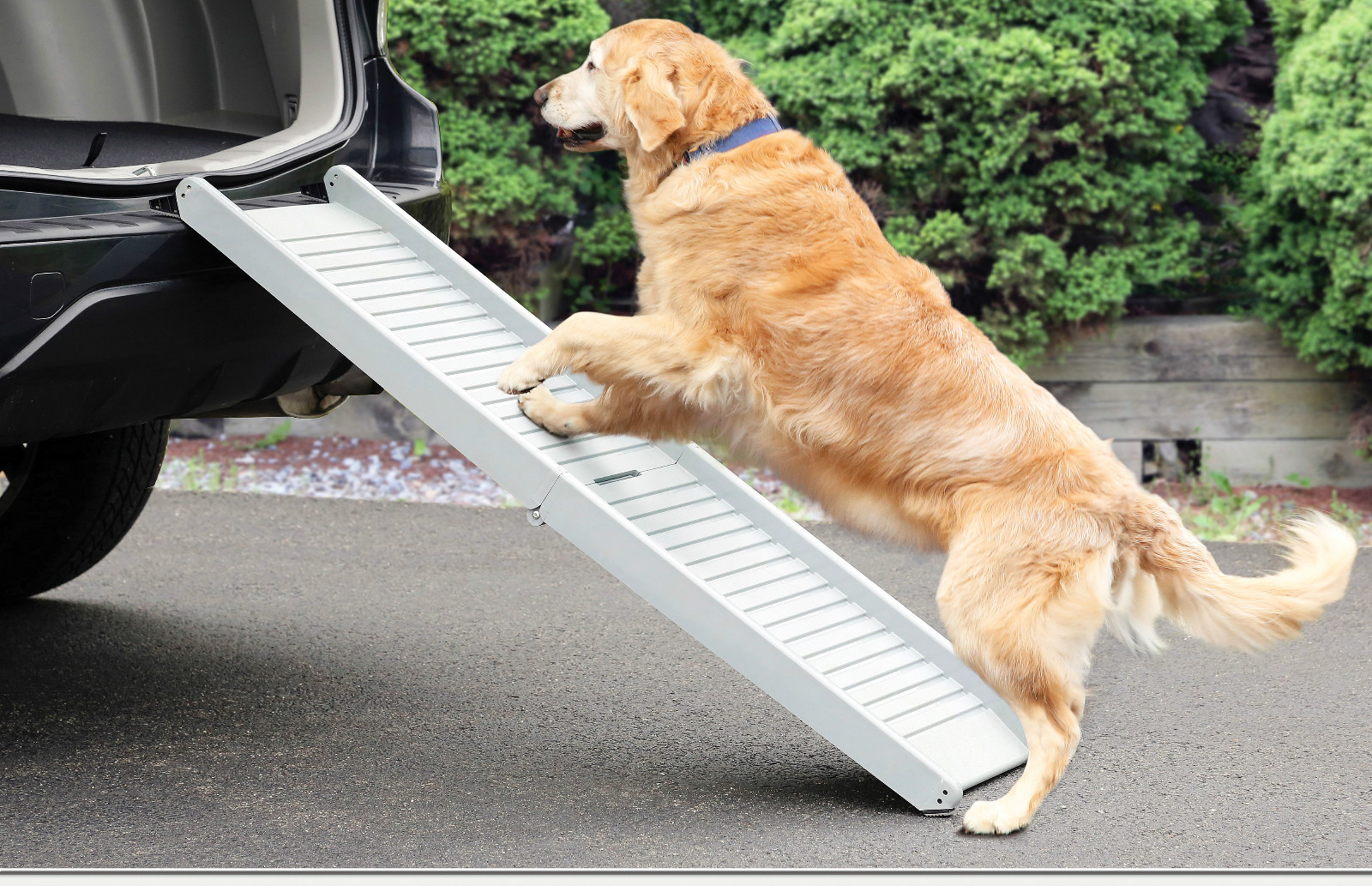 Dog Ramp For Car >> Lightweight Dog Ramp Anti Slip Safety Folding Portable Pet Ramp Car Dog Ramp For Car >> Lightweight Dog Ramp Anti Slip Safety Folding Portable Pet Ramp Car