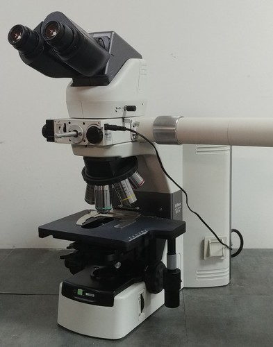 Nikon Microscope Eclipse 80i with Dual Head Bridge