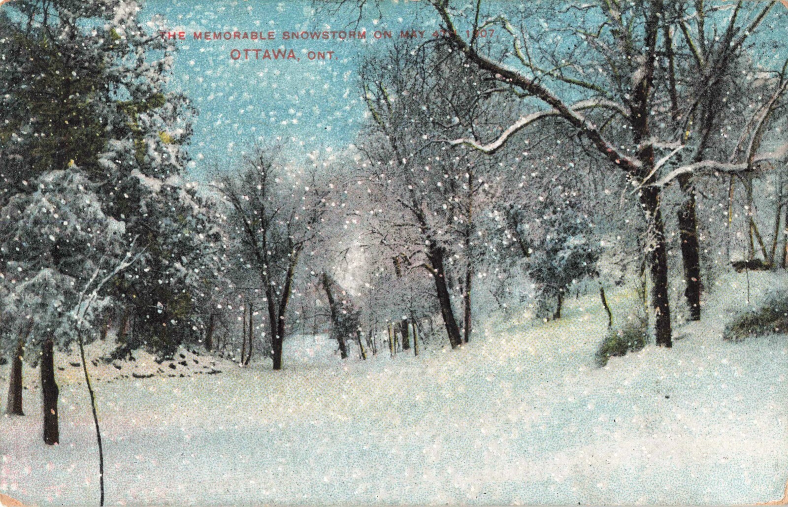 RPPC photo postcard of Montreal after snowstorm 1908 RPPC photo postcard of Montreal after snowstorm 1908