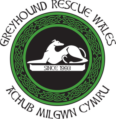 Greyhound Rescue Wales