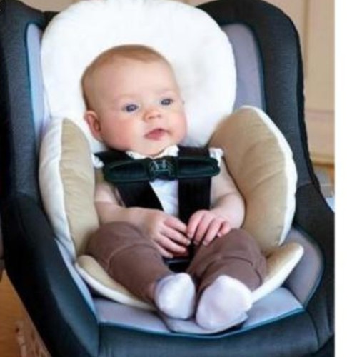 JJ Cole Infant and Baby Head Support