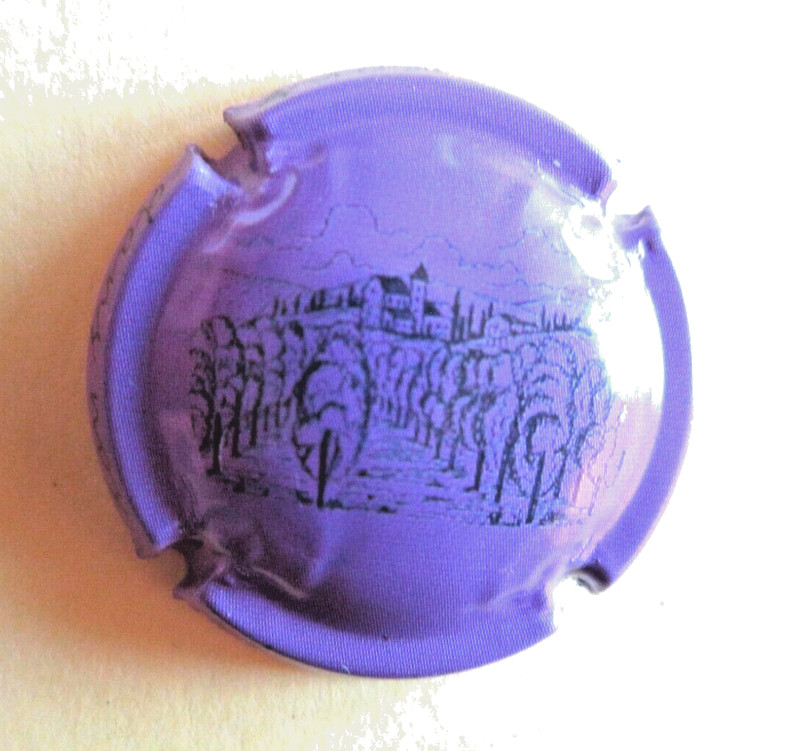 Capsule De Champagne GÃNÃRique NÂ° 1273c