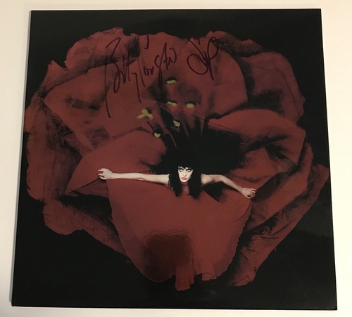 【未開封】『Adore』The Smashing Pumpkins LP 418+9ftTKvL._SY200_QL15_.jpg