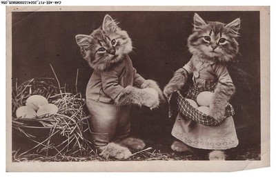 CAR-AEEP17-0926-CHAT - Deux Gatos Comeor Pres De Huevos