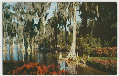 Lake Eloise Cypress Gardens Florida Vintage Postcard Unposted