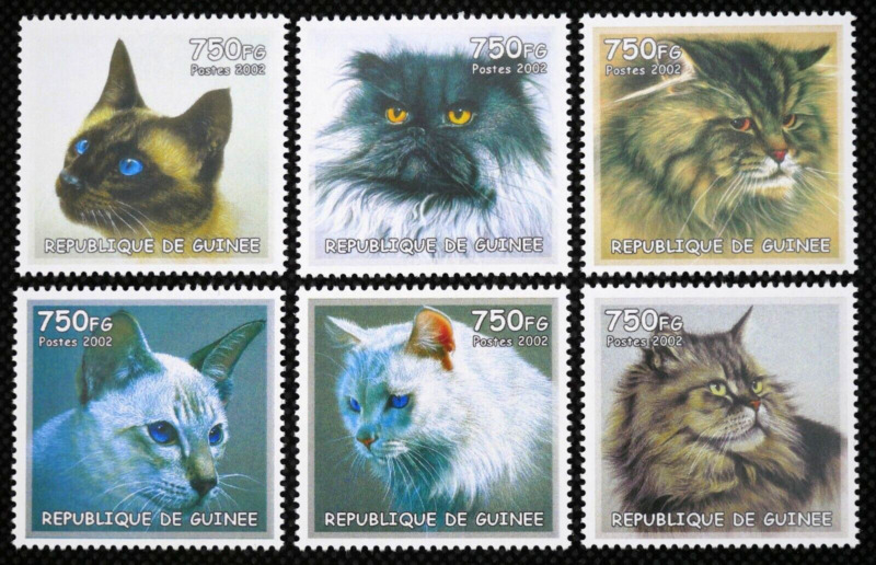 REPUBLIC OF GUINEA - 2002 - Animals - Domestic Cats- Set 6v - MNH