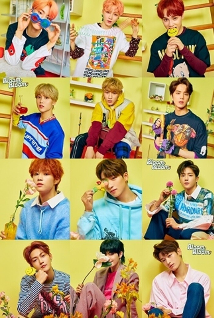 The Boyz Bloom Bloom Album Cd Poster Photobook Card Kpop Gift Letter Kupit S Dostavkoj Iz Ssha Cena 3 651 Rub