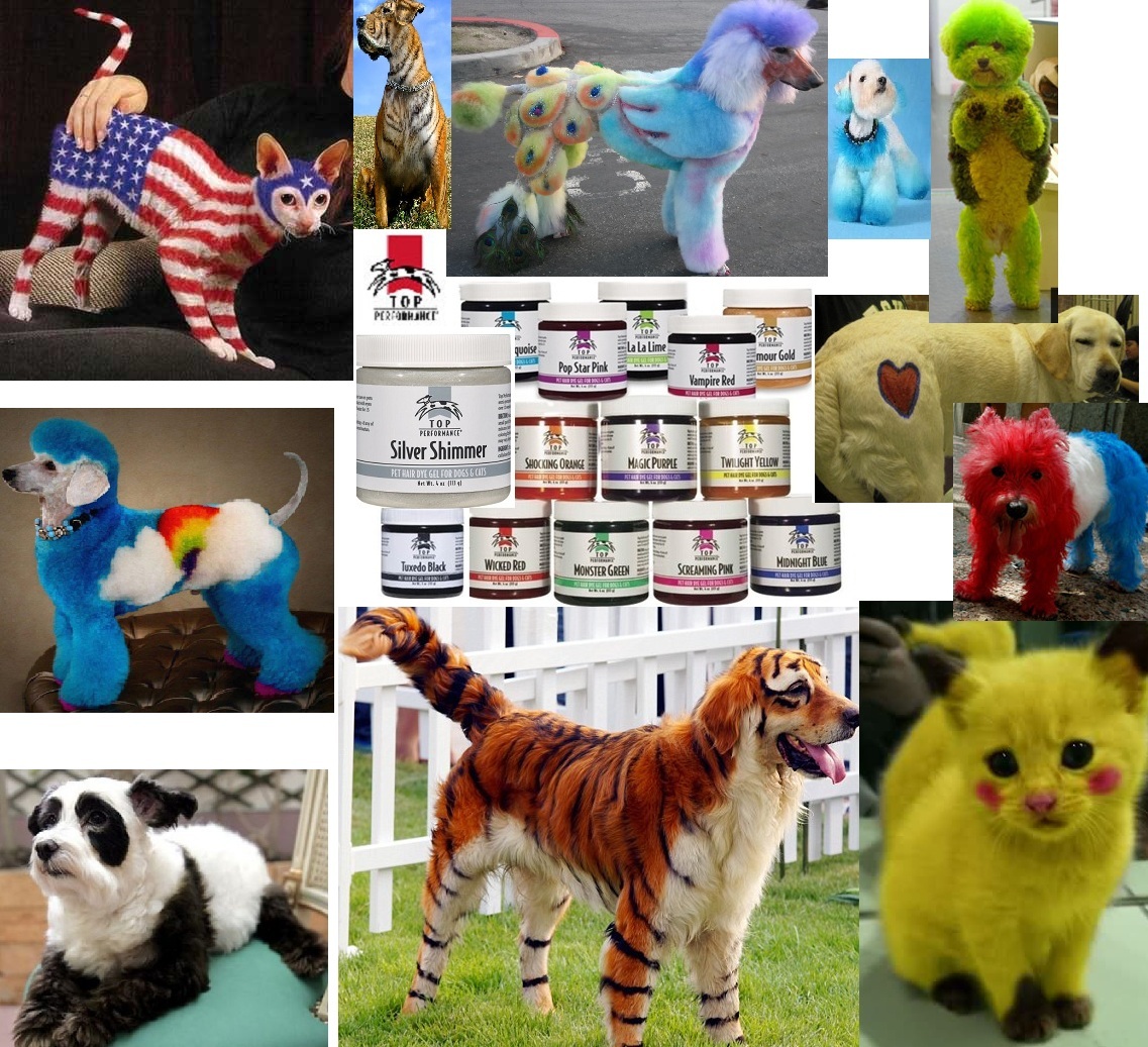 トム・エバハート　HAIR CLUB FOR DOGS Top Performance PET DOG CAT GROOMING HAIR DYE COLORING GEL