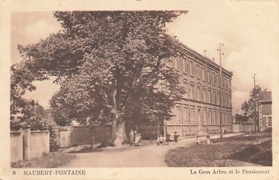 08 maubert fontaine gros arbre  92370
