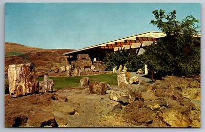 Postcard Museum Bldg. Ginkgo Petrified Forest  Vantage Washington       F 10